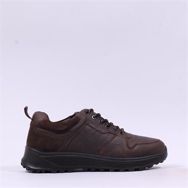 Dubarry Men Summit Laced Rugged Trainer - Mahogany Leather